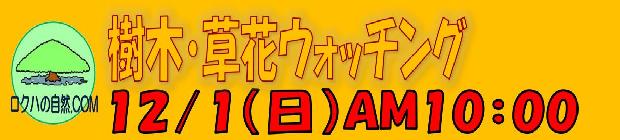 樹木草花ウォッチング