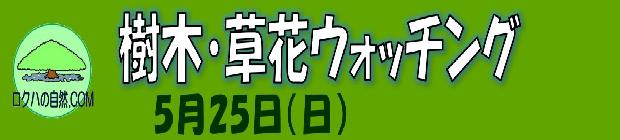 樹木草花ウォッチング