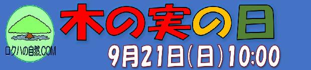 木の実の日