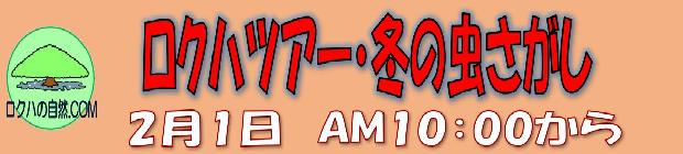 ロクハツアー・冬の虫さがし